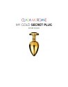 My GOLD Secret Plug MEDIUM BLACK