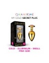 My GOLD Secret Plug SMALL PINK