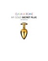 My GOLD Secret Plug LARGE BLUE